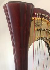 Salvi Daphne 47 SE Pedal Harp: Pxxx - Mahogany