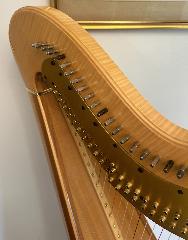 Aoyama Vega Pedal Harp in Maple - Rental Initial Payment