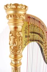 Aoyama Monarch 47 Pedal Harp