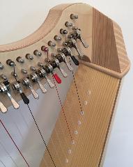 Salvi Mia 34 Lever Harp (45171): Maple - in Stock