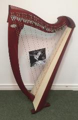 Salvi Una 38 Harp Rental - Initial Payment (with delivery)