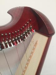 Salvi Una 38 Harp Rental - Initial Payment (with delivery)