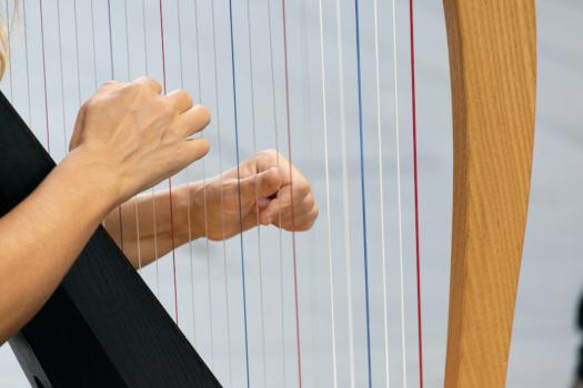 Hands on the harp