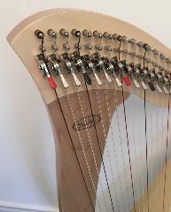 Salvi Mia 34 Harp Rental - Initial Payment