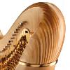 Salvi Arion 44 SG Pedal Harp